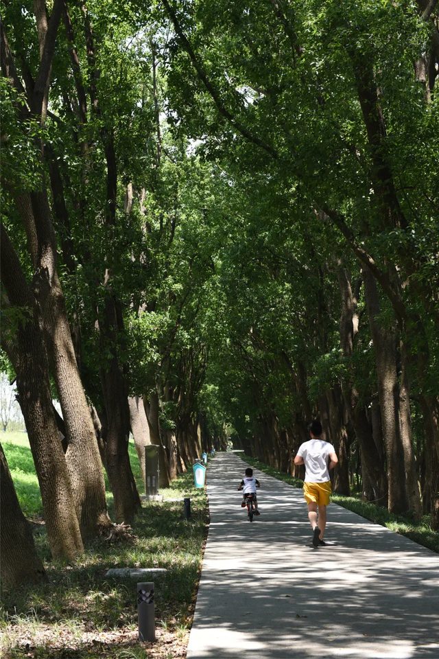 最全环太湖骑行路书来了！十大站点玩转醉美太湖！
