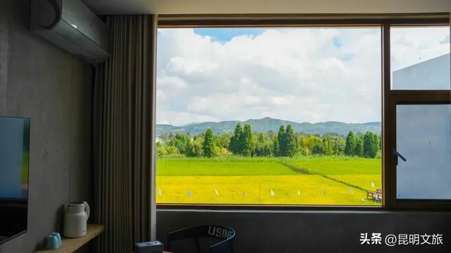 天晴就去！鸥鸟翩跹，这个免费国家级公园，藏着昆明最美的冬天