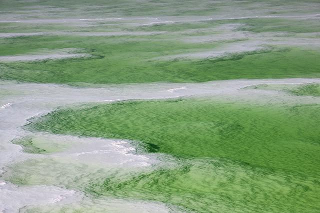 青海旅游-海西州-茫崖翡翠湖