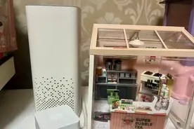 智能音箱，白给都没人要了？图片