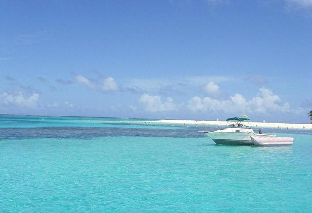 叮！你收到一条好运签收提醒（快接住）