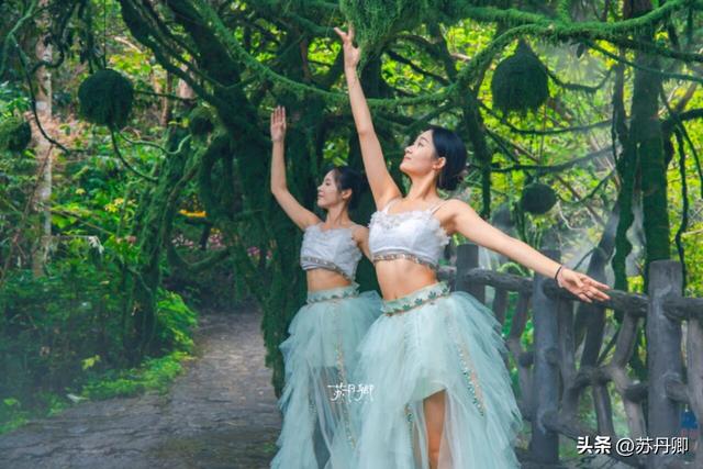 咸宁是没有文旅吗？这么美的宝藏小城都不宣传：武汉周边游就来这