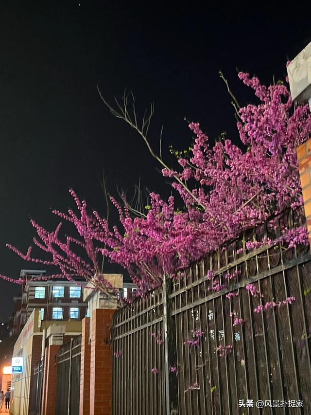 南昌秋水广场摆摊，夜生活真丰富！