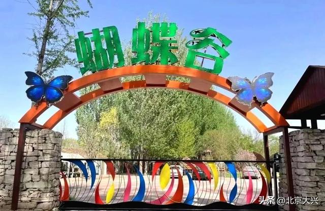 一站式嗨玩密码，就在大兴采育镇！