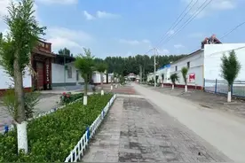 中移系公司中标枣强县乡村建设示范村、户环境整治提升项目图片