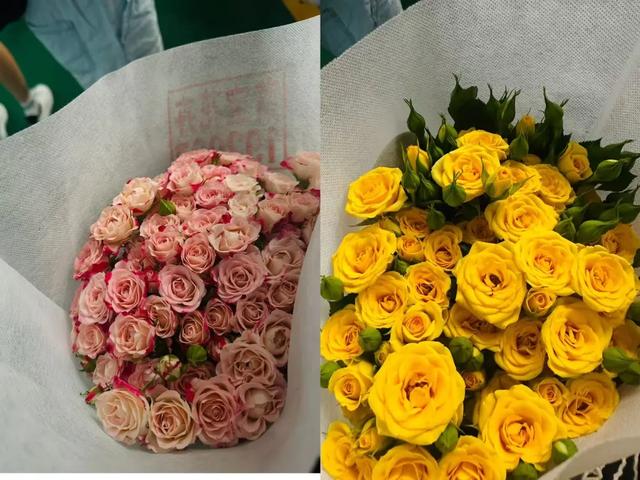 2025暑假云南亲子游之昆明终篇