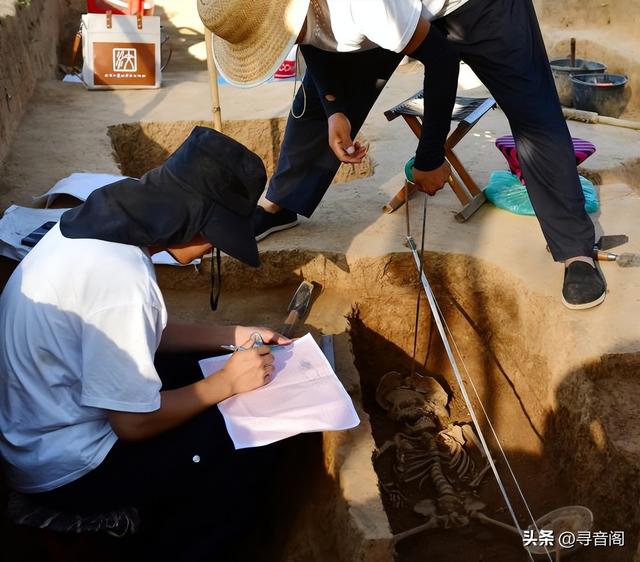 推荐小长假学文化亲子游的好地方——大汶口文化遗址