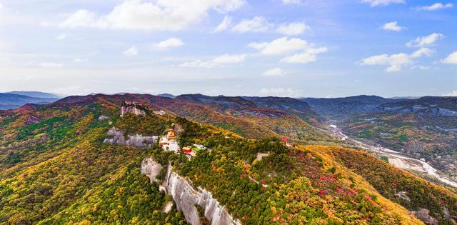 层林尽染映照金 红叶秋景正当时