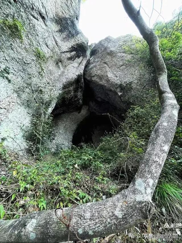藏于浙江5A景区内有一处“十里铁甲龙”,洞穴众多形态奇特