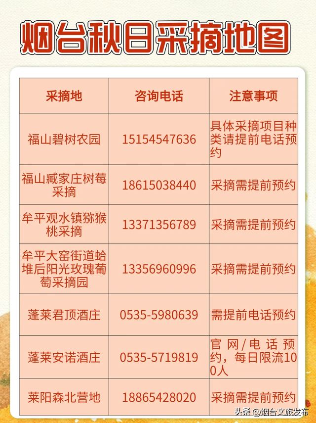 【乐游烟台】吹爆！烟台秋日第一波采摘地都在这……
