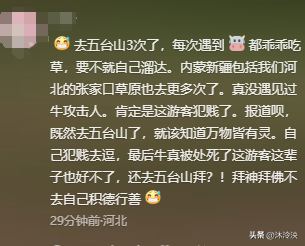 游客徒步遭牛群踩踏后续：景区回应，真相曝光后，网友直呼太活该