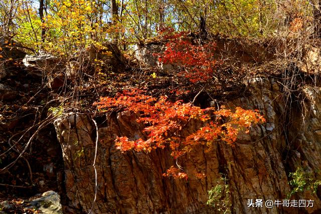 辽阳核伙沟（上）：百里锦绣廊、东北小黄山