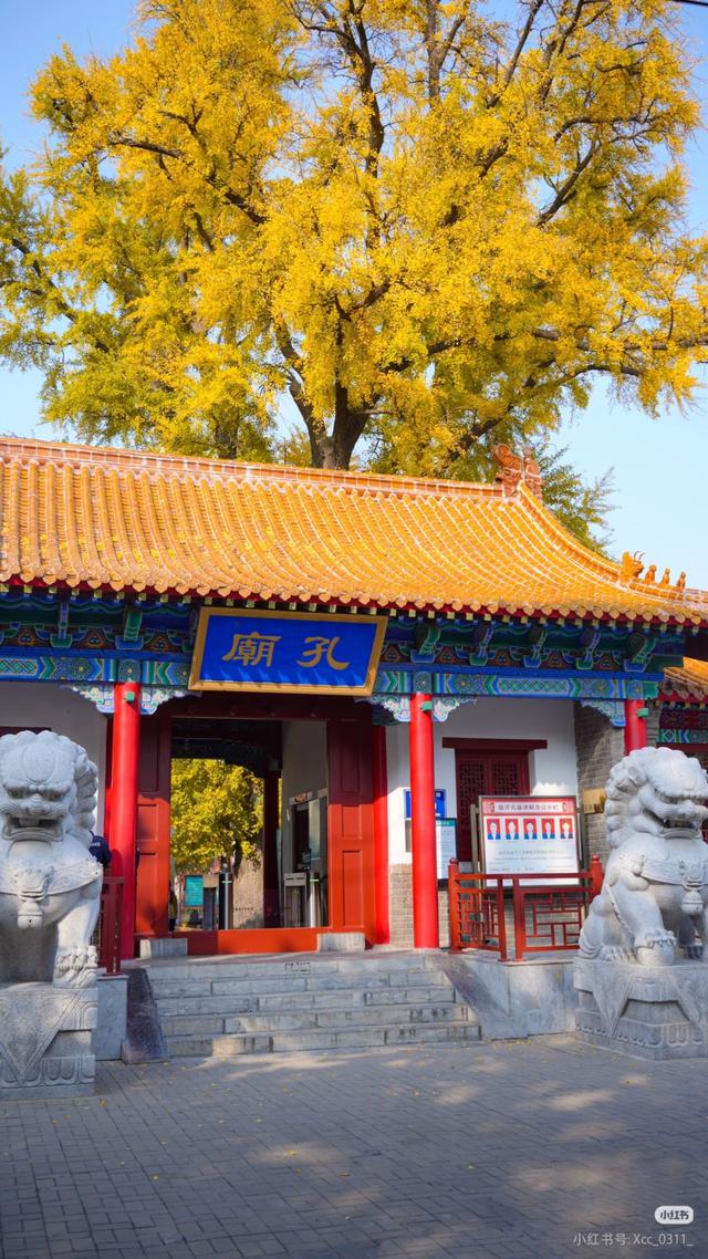临沂免费赏秋好去处，错过你将后悔一整年！