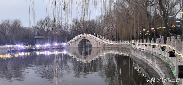 舜帝花海——邂逅一场别具一格的视觉盛宴