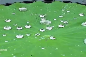 此曲只应天上有，箫曲纯音乐《人间第一情》，空灵之音，太好听了图片