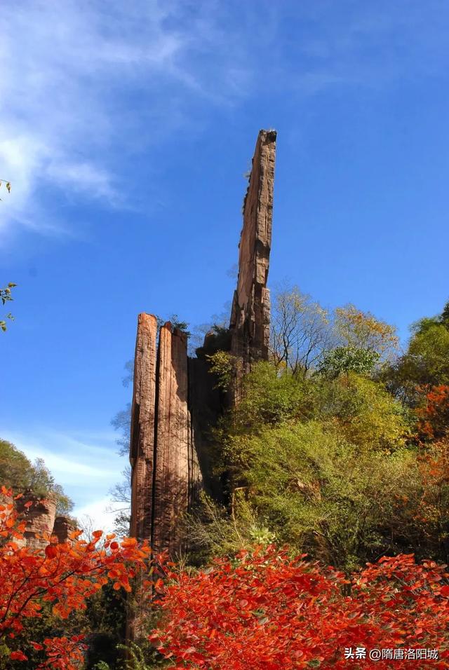 洛阳再上榜！跟着榜单游神都，最新攻略出炉！