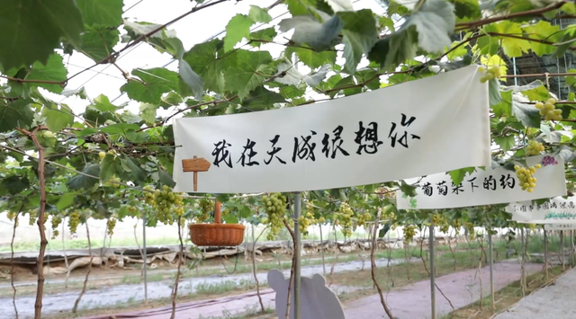 第十七届孙子文化旅游节广饶启幕 兵圣故里掀起文旅热潮
