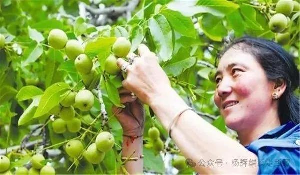 朗县，西藏袖珍县城，安静祥和没有红绿灯