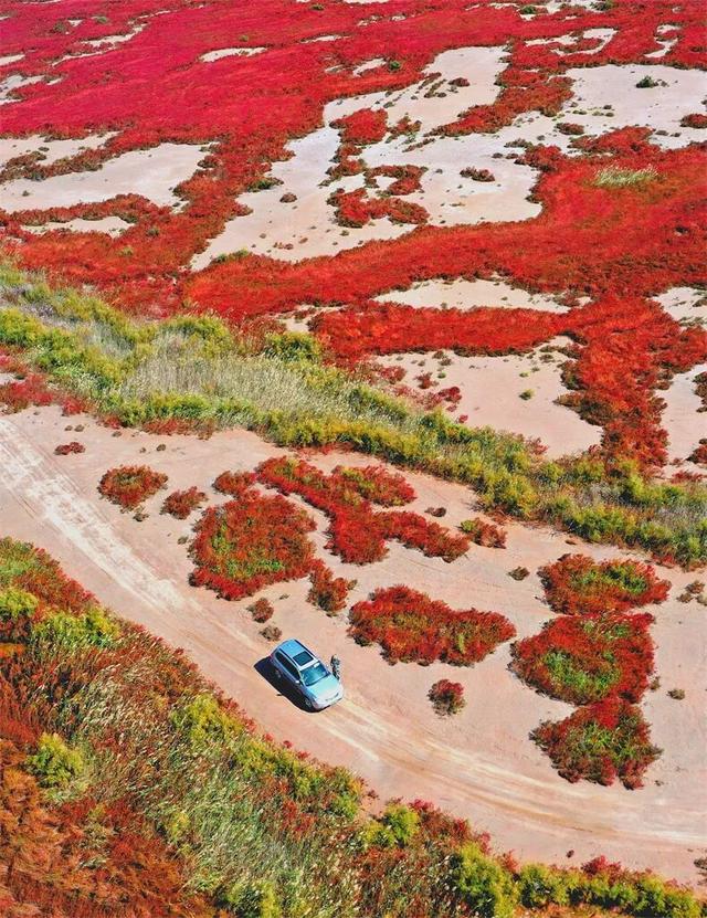 9~11月旅行推荐！全国13处绝美地上线“秋色限定”，现在计划刚好