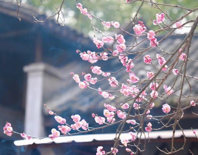 观音寺，太出片了！