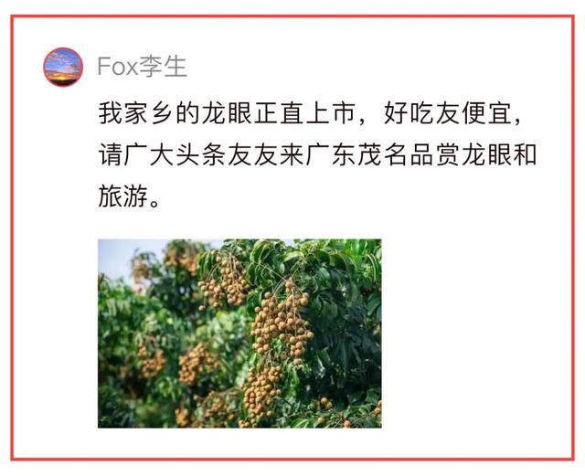 说走就走!你的夏日旅行目的地是______| 条友这一周