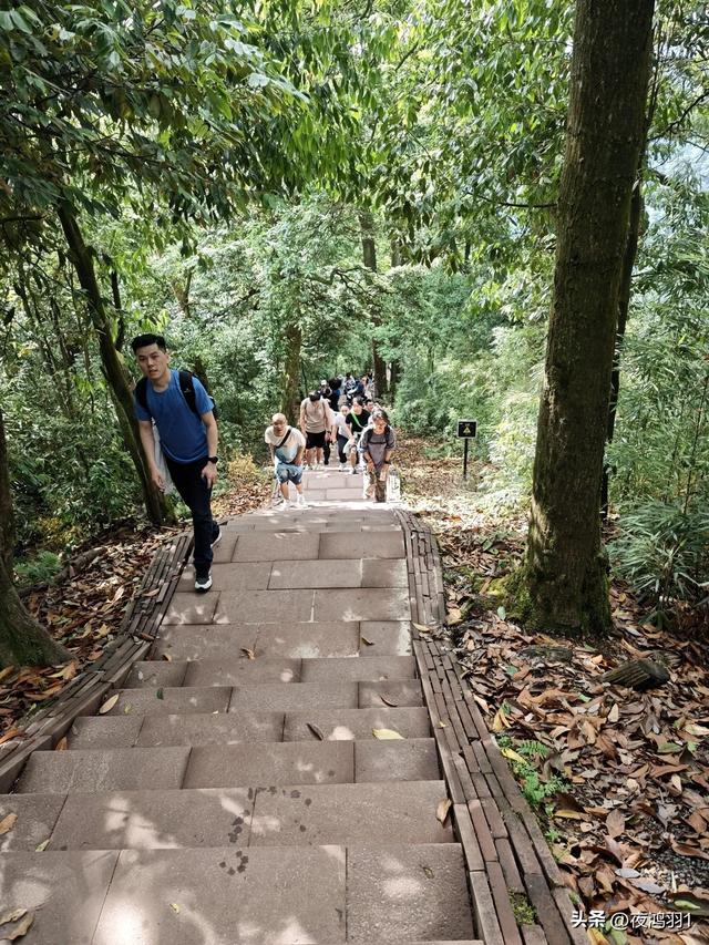 徒步瓦屋山,太艰难了,坚持下来不容易