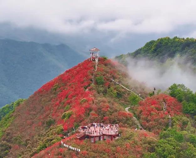 株洲攸县一日游十大必去旅游景点
