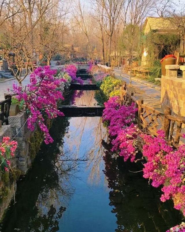 原来真的有城市，可以一天24小时都快乐~（2）