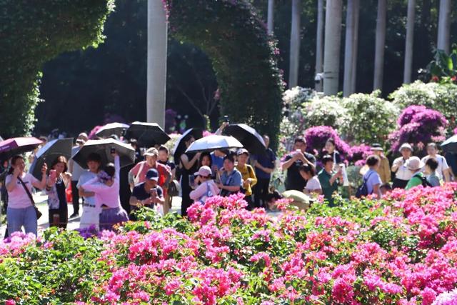 挤爆了！今天莲花山都是人人人，网友：感觉全深圳都来了！