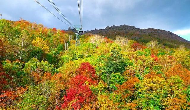 【北海道秋季自由行】6天5夜详细指南,无痛解锁经典景点