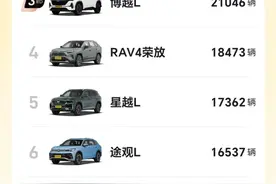 7月SUV销量排行，特斯拉夺冠，问界M8第2，理想L6第8图片