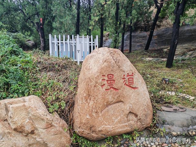 泰安：一场秋雨后，在虎山步道遇见了泰城最静的秋，而心则更静