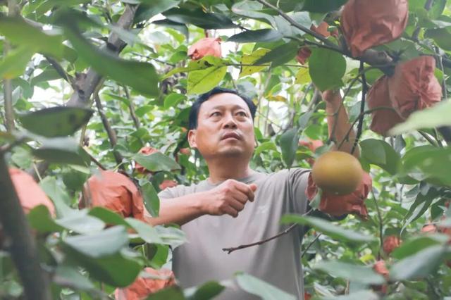 开封，“丰”景正好！