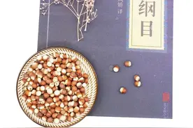 一个被埋没的祛湿“圣品”！熟吃养胃，生吃肾好，男女老少都能吃图片