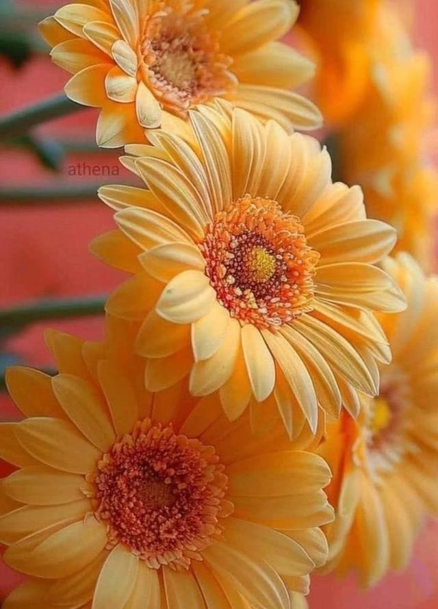 当你心苦无助时读读这些超治愈的句子，句句是解药，救你千千万万