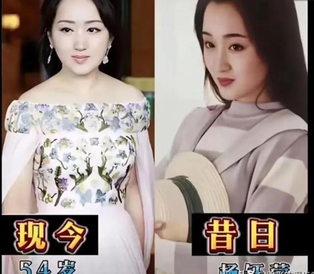 杨钰莹50岁仍水灵，当年为爱放弃事业，如今单身重拾音乐初心