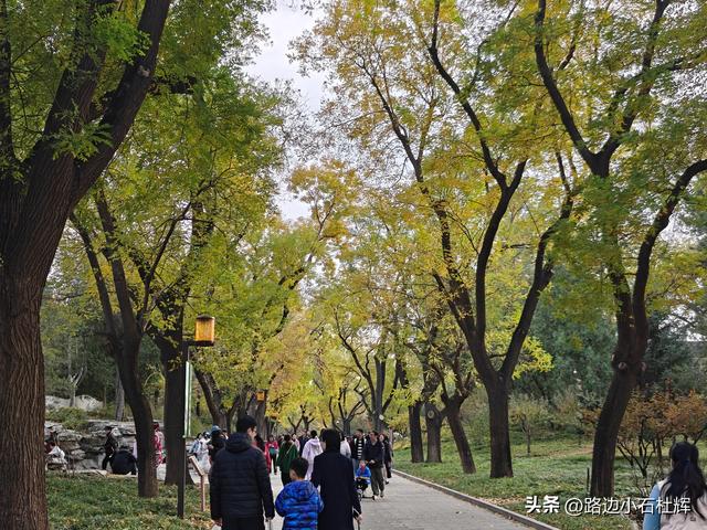 从童年嬉闹到诗意园林——一个北京土著的北海公园记忆