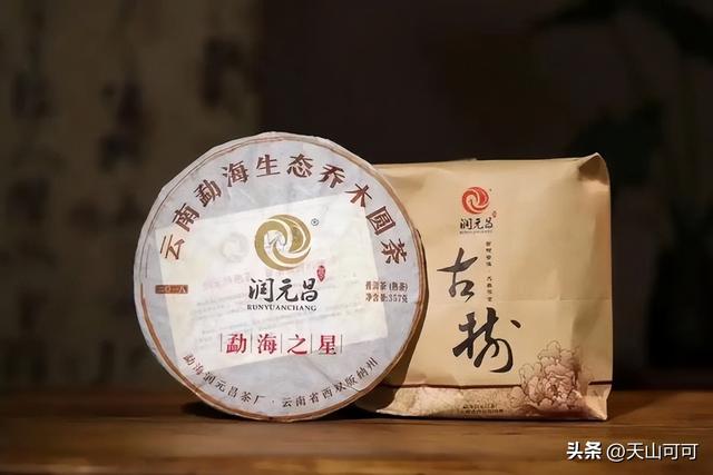普洱茶品牌排名前十，截至2025年6月！