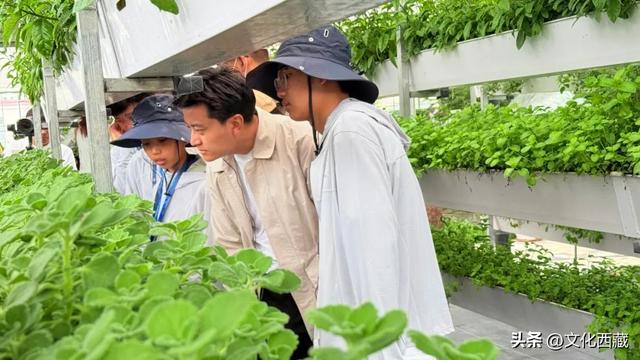 就在今年暑假！拉萨首批精品研学线路，不要错过了！