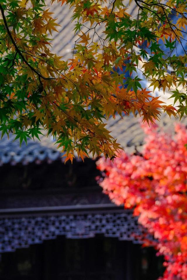 北京之秋便是天堂