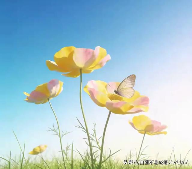 生肖兔：2026年春节少去这4个地方，日子顺遂，一天比一天更旺