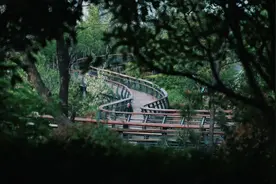 秋千一荡，就碰着了海，青岛这条人少景野的宝藏路线就藏在……图片