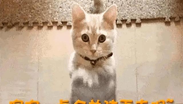 坦白和释永信关系4天。李湘再曝大瓜，牵扯的还是让她怀二胎的人