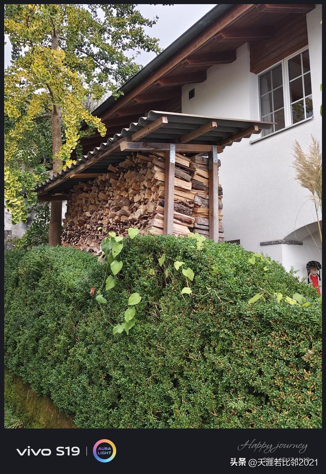 我所接触过的瑞士人