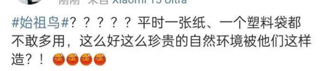艺术与环保的边界在哪