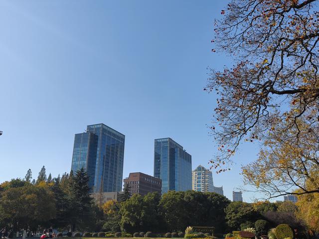 碧云天，黄叶地。秋色连波，波上寒烟翠一一玄武湖银杏迟