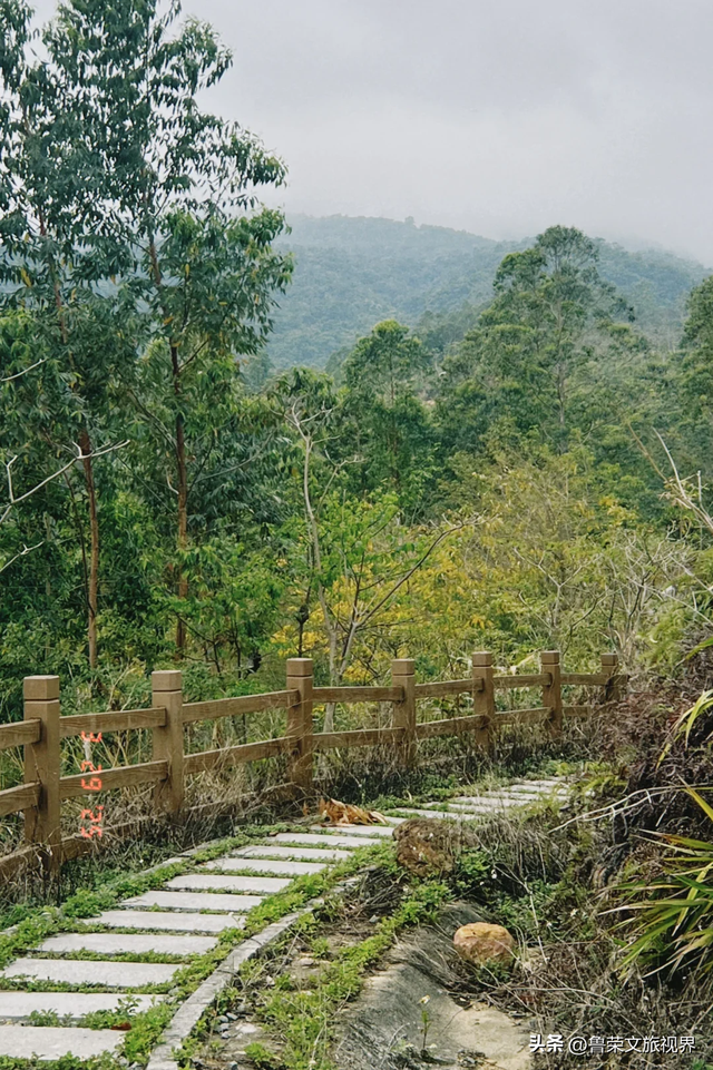 隐匿在广东的冬日秘境：恩平，一座20℃暖冬里的温柔小城