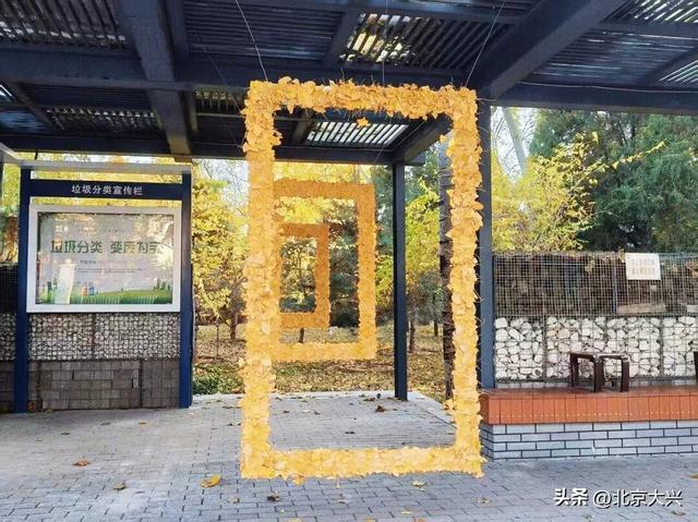 来这里，定格美景，把最后的秋色“框”回家——