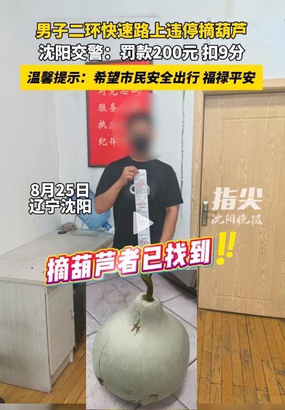 男子手欠摘沈阳二环葫芦：真心道歉，婚礼已取消，扣9分罚200元 。后续来了，葫芦二弟出现，已成为精神寄托！