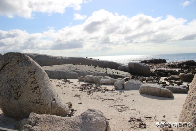 南部非洲：南非开普敦企鹅岛